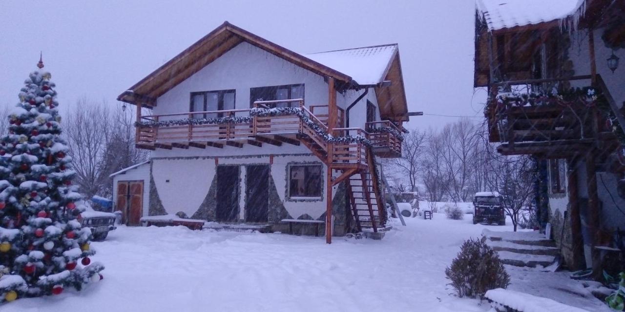 Апартаменти "У Кузьмича" 2 Mykulychyn Extérieur photo